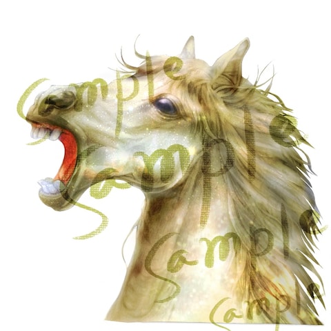 馬