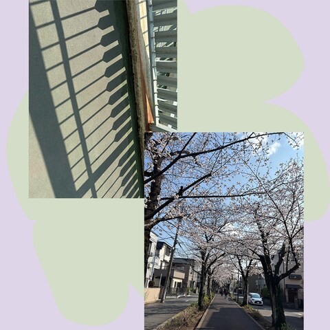 ANOTHER PLACE CAFE 4/4