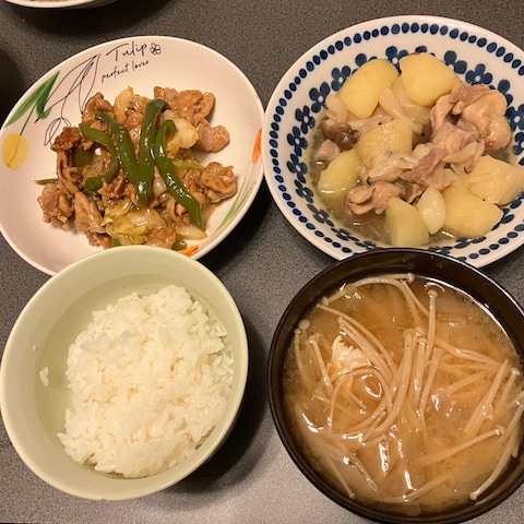 ニラともやしがなかったの(T . T) 愛情一杯の肉じゃが！