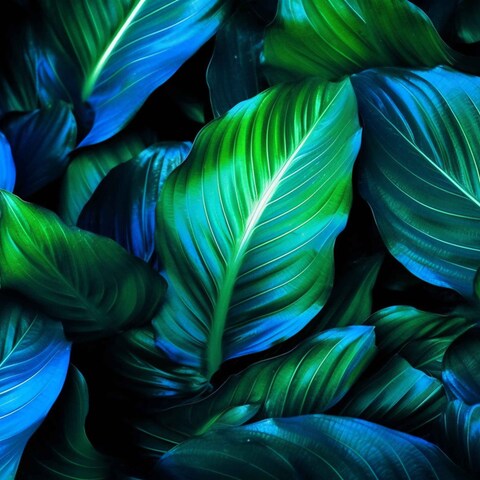【AI生成画像】青と緑の葉