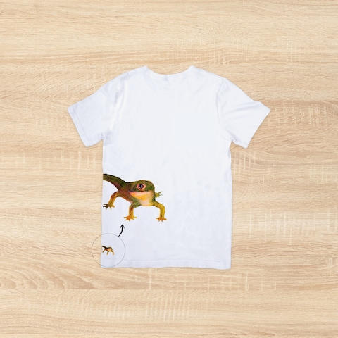 Tシャツデザイン制作