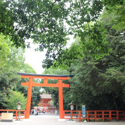 京都の風景4