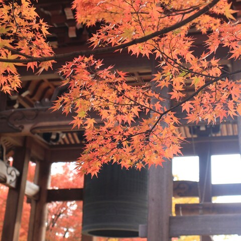 京都の風景7