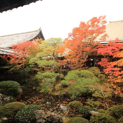 京都の風景9