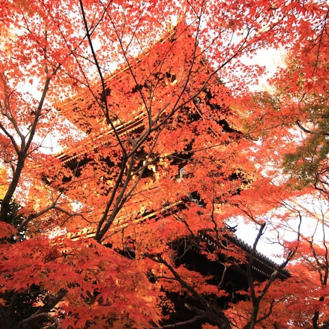 京都の風景16