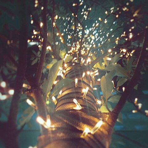 Photo by Ichiru