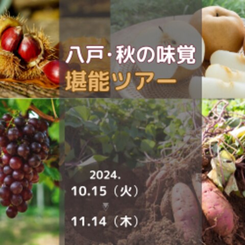 ネット広告のバナー