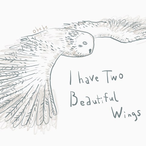 Beautiful wings