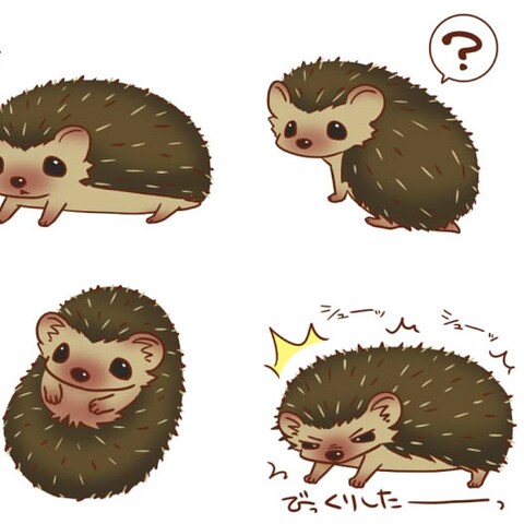 ハリネズミLINEスタンプ