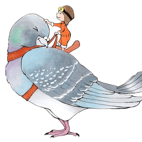 鳩の飛行便