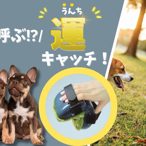 クラウドファンディングプロジェクトのLP作成