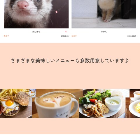 動物カフェ