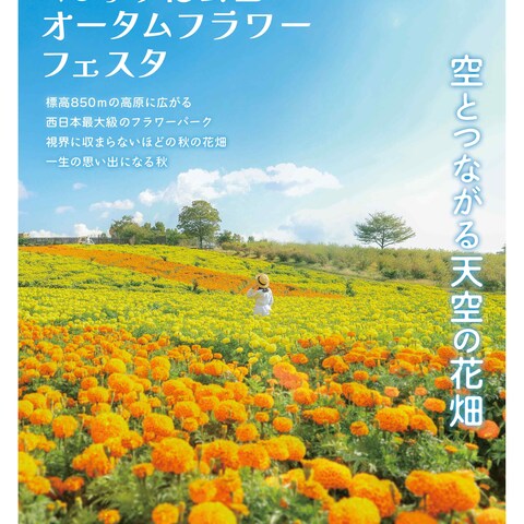 花公園のイベントポスターを制作しました