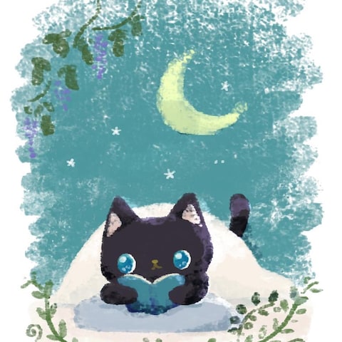 黒猫と夜読書