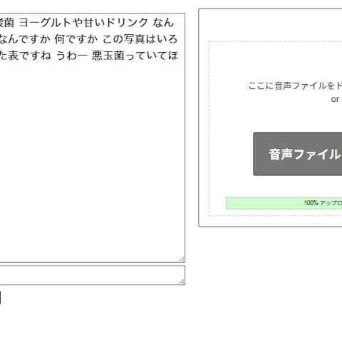 マイク・音声ファイル リアルタイム文字起こし