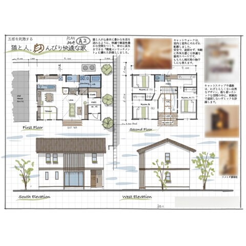 愛猫と暮らす夫婦のために【34坪3LDK】｜PLAN-A2