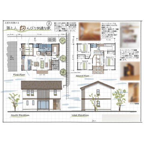 愛猫と暮らす夫婦のために【34坪3LDK】｜PLAN-A