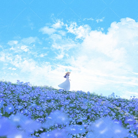 花畑と青空