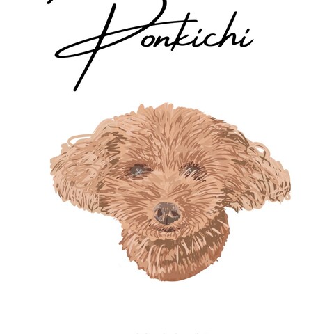 ぽんきち