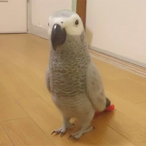 羊毛フィギュア　オーダー作成