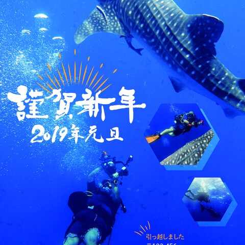 年賀状　DMハガキ