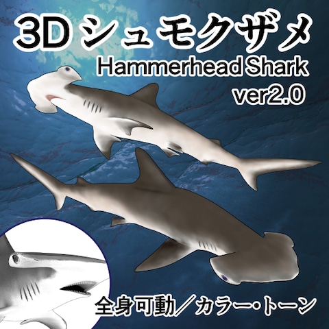 シュモクザメの3Dモデル制作