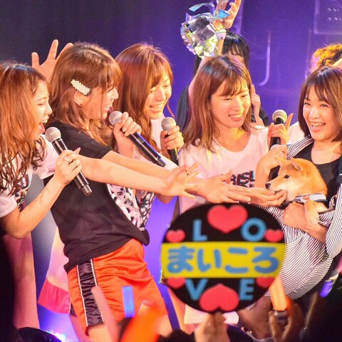恵比寿マスカッツ ライブ撮影