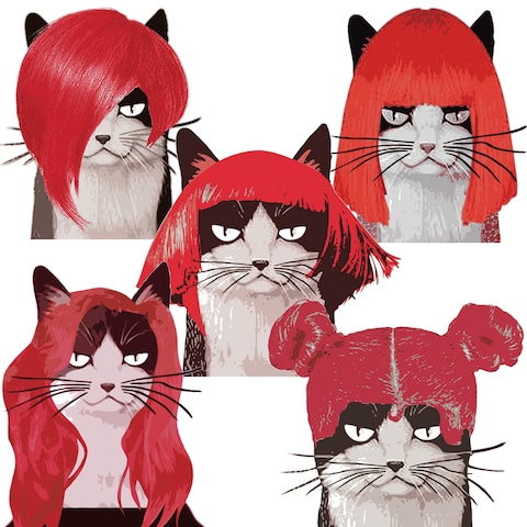赤髪猫の肖像