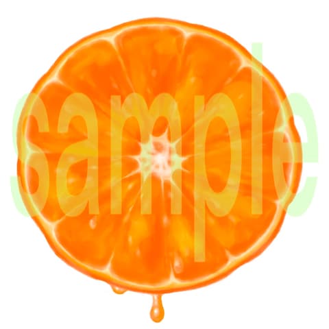 柑橘ラベル用イラスト