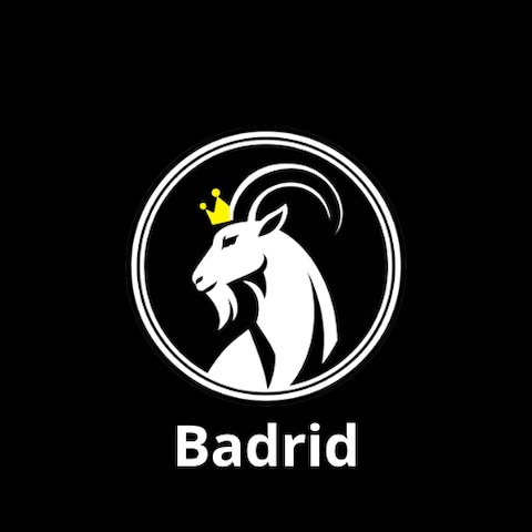 Badridというバンドロゴ
