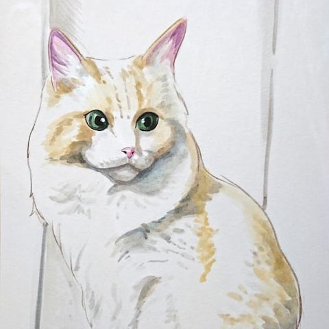 愛犬愛猫の水彩画イラスト