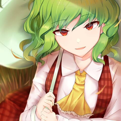 版権キャラクターイラスト(東方project)