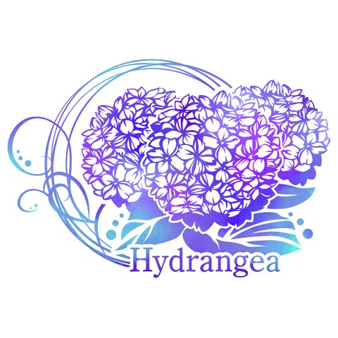 Hydrangia