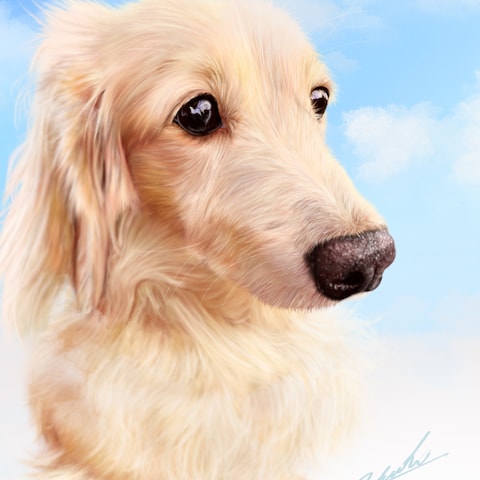 青空と愛犬