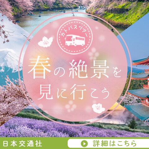 バナー：バスツアー