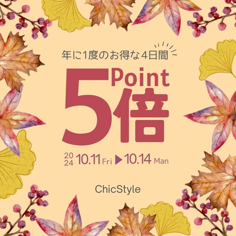 アパレル SNS広告デザイン