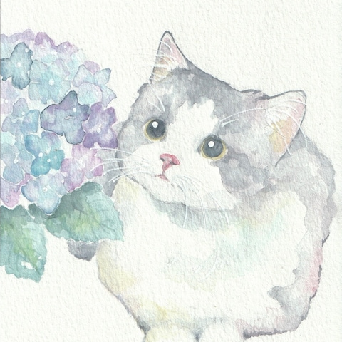 紫陽花と猫ちゃん