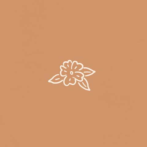 Hibiscus ハイビスカス (サンプル)