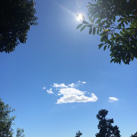 最近の活動