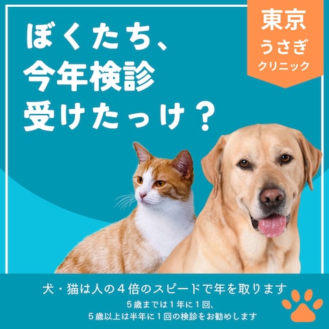 架空の動物病院広告