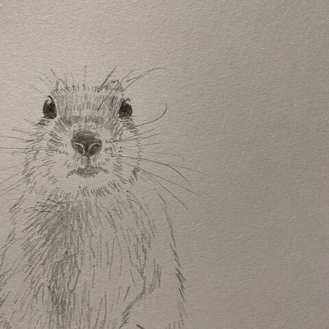 ジリス