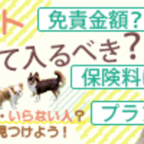 ペット保険バナー１