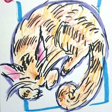 猫イラスト