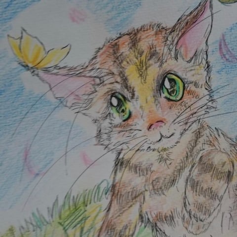 猫色鉛筆イラスト