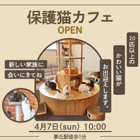 保護ねこカフェバナー