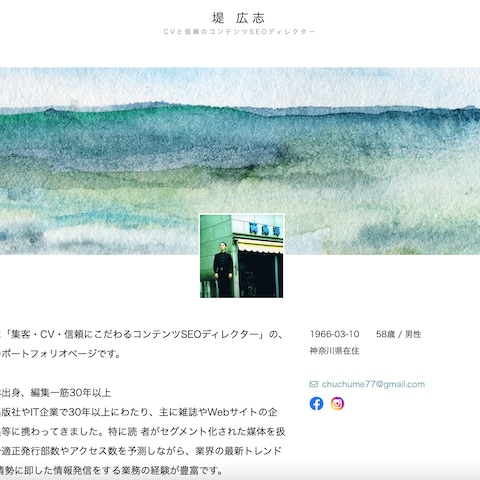「コンテンツSEOディレクター」のポートフォリオページです