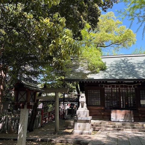 日本の景色を撮るのが好き