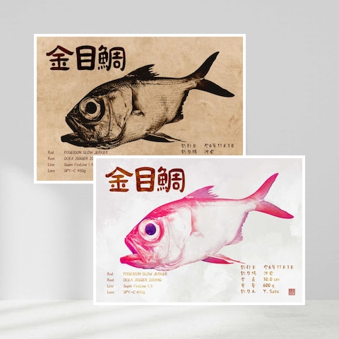 金目鯛のデジタル魚拓 - 墨加工 & カラー加工