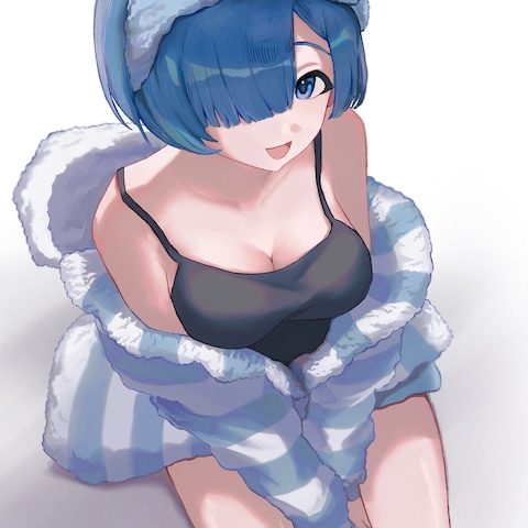 1枚絵