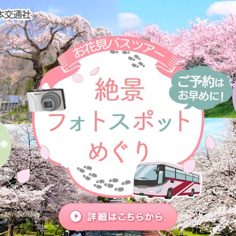 お花見バスツアー